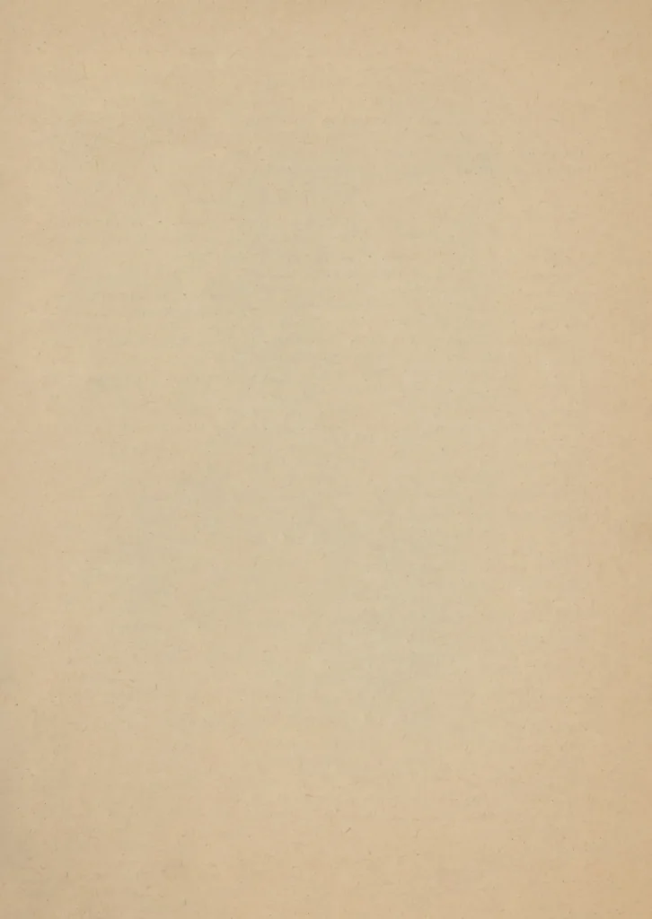 0017_2.webp